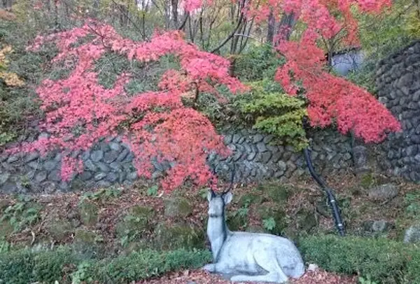 那須温泉神社の写真・動画_image_100401