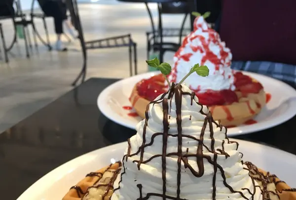【閉業】Urth Caffe 表参道（アースカフェ）の写真・動画_image_100420