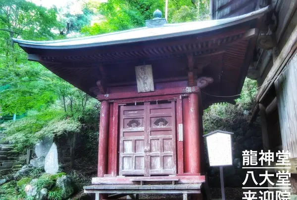 倶利伽羅堂 伊勢原市の写真・動画_image_100487