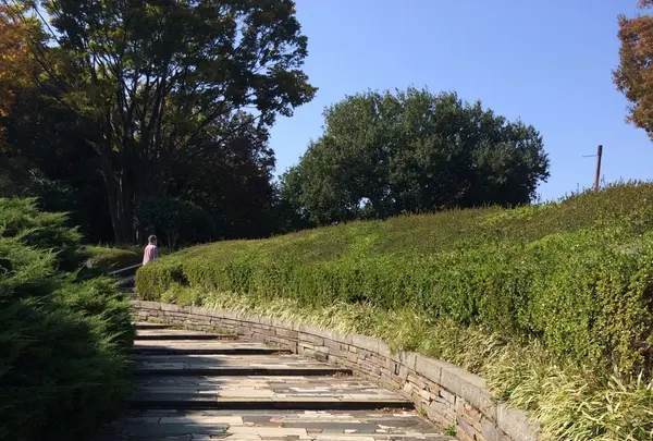 国営昭和記念公園の写真・動画_image_100511