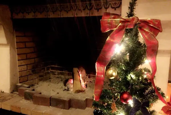 ロンギングハウスの写真・動画_image_100575