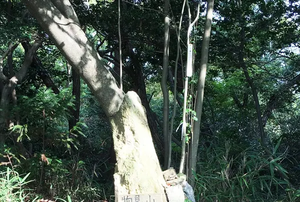 物見山の写真・動画_image_100601