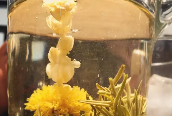 CHAO池袋ルミネ店の写真・動画_image_100613