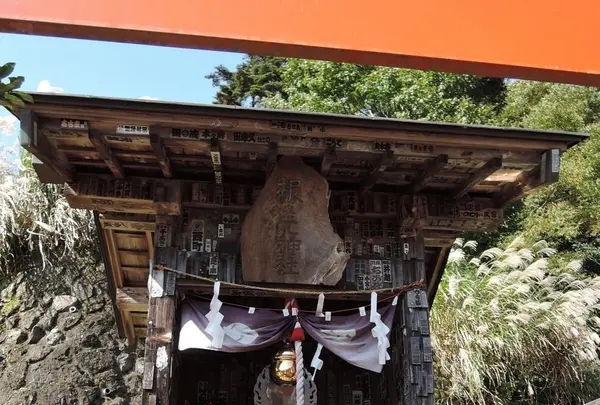 大山ケーブルカーの写真・動画_image_100645