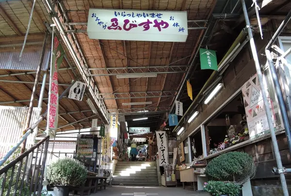 こま参道の写真・動画_image_100658