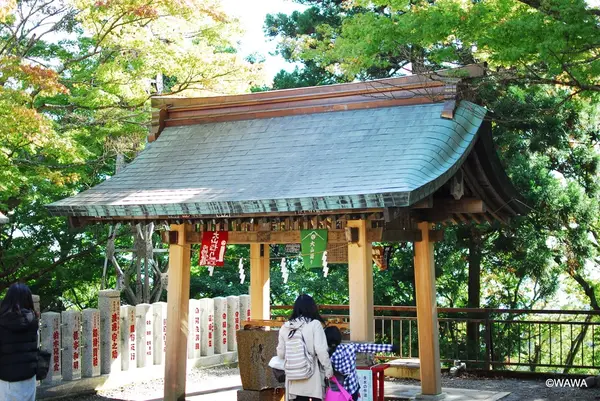 阿夫利神社 下社の写真・動画_image_100663