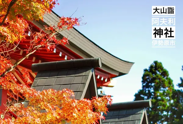 阿夫利神社 下社の写真・動画_image_100683