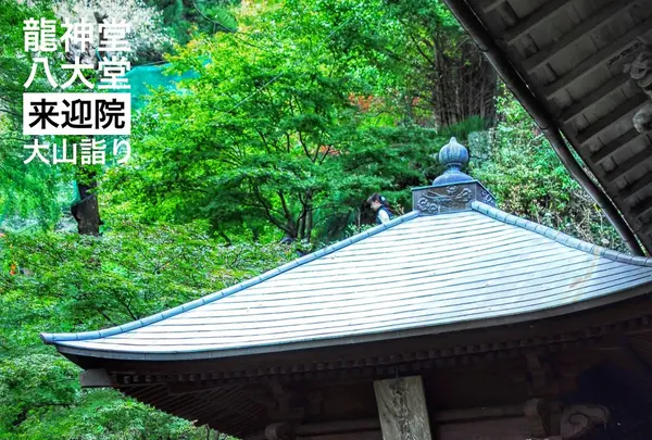 茶湯寺の写真・動画_image_100785