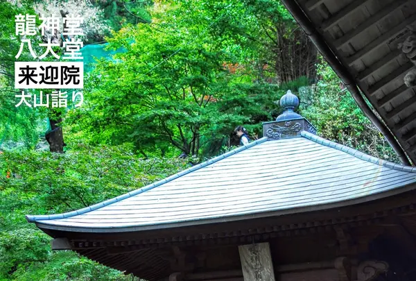 倶利伽羅堂 伊勢原市の写真・動画_image_100786