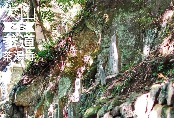 倶利伽羅堂 伊勢原市の写真・動画_image_100789