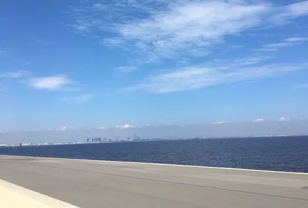 浦安市総合公園の写真・動画_image_100813
