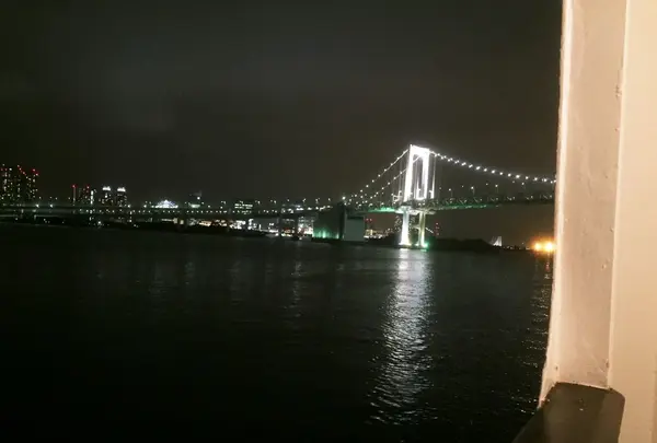 さるびあ丸の写真・動画_image_101235