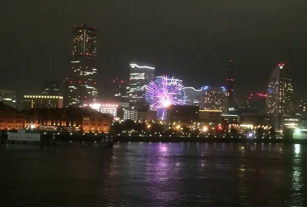 さるびあ丸の写真・動画_image_101238