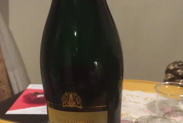 さるびあ丸の写真・動画_image_101240