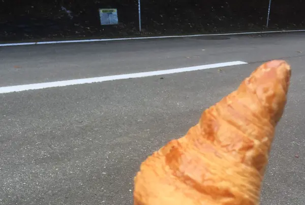 三原山ハイキングテキサスコースの写真・動画_image_101255