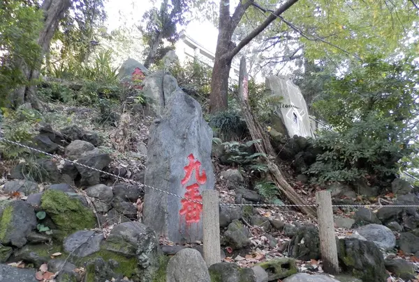 駒込富士神社の写真・動画_image_101268