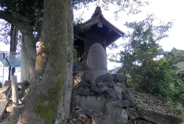 駒込富士神社の写真・動画_image_101279