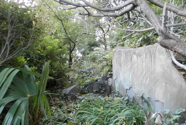 駒込富士神社の写真・動画_image_101281