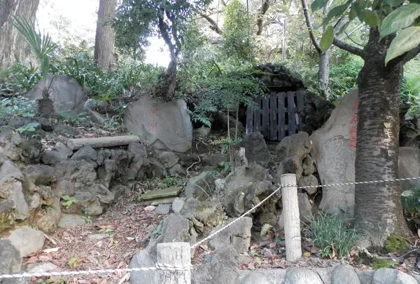 駒込富士神社の写真・動画_image_101282