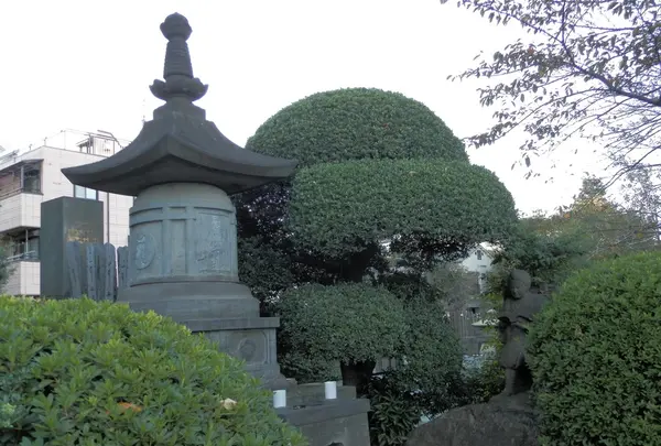 吉祥寺の写真・動画_image_101298