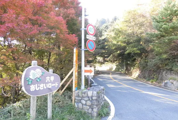 鉢巻展望台の写真・動画_image_101307