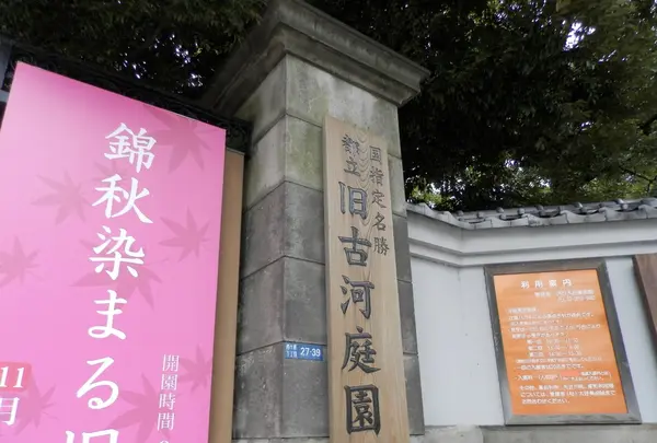 旧古河庭園の写真・動画_image_101334
