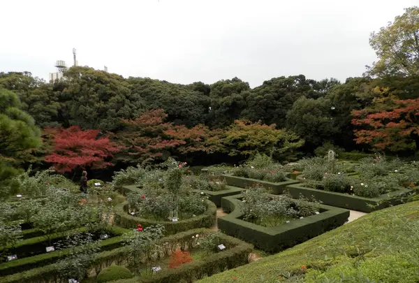 旧古河庭園の写真・動画_image_101336