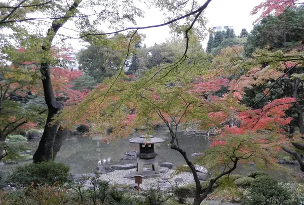 旧古河庭園の写真・動画_image_101367