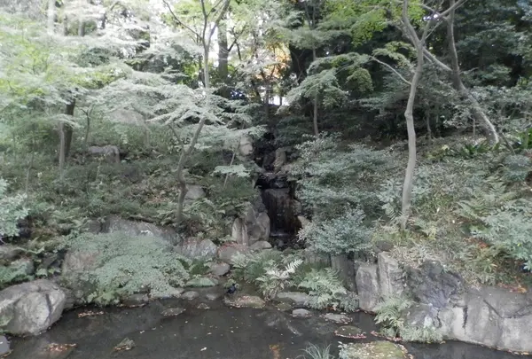 旧古河庭園の写真・動画_image_101369