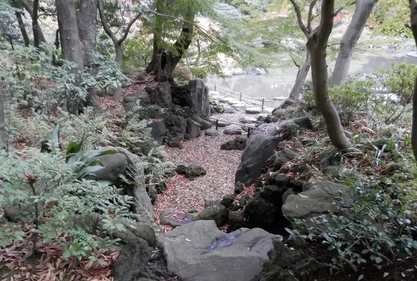 旧古河庭園の写真・動画_image_101371