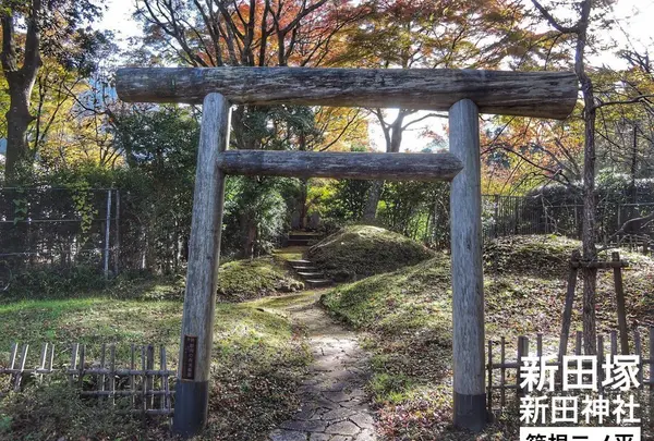 新田塚の写真・動画_image_101397