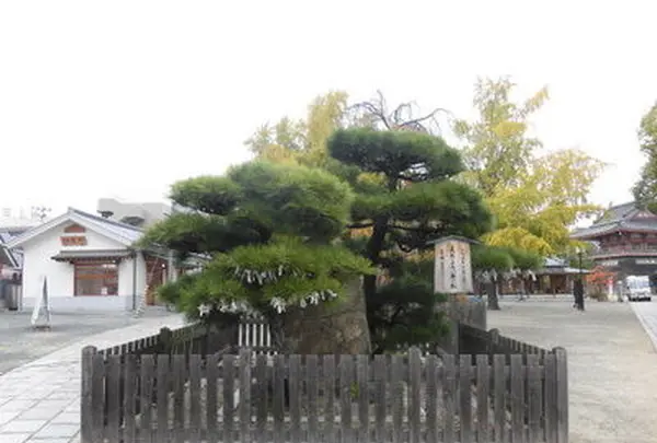 四天王寺【大阪】の写真・動画_image_101452