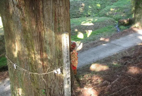 吉原神社の写真・動画_image_101482