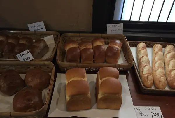 共楽園・林檎の樹の写真・動画_image_101514