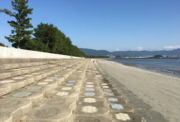 潮干狩り（形原海岸）の写真・動画_image_101526