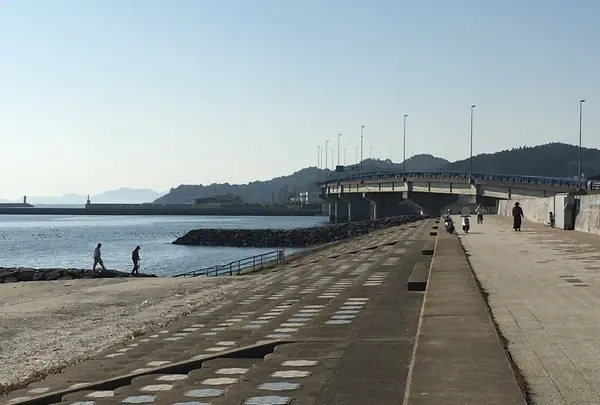 潮干狩り（形原海岸）の写真・動画_image_101527