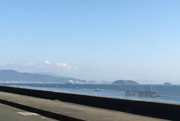 マリンドライブの写真・動画_image_101533