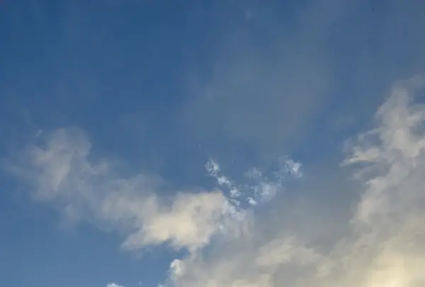 大観峰の写真・動画_image_101539
