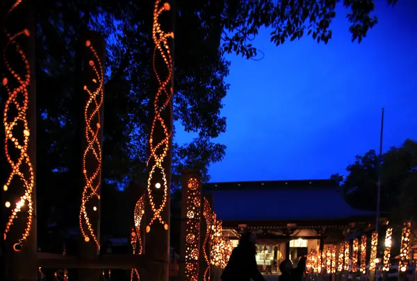 菊池神社の写真・動画_image_101576