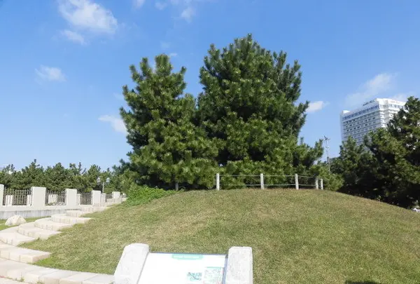 舞子公園の写真・動画_image_101664