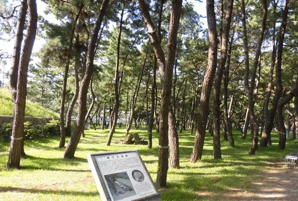 舞子公園の写真・動画_image_101665