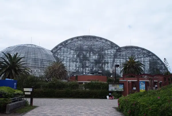 夢の島公園の写真・動画_image_102165