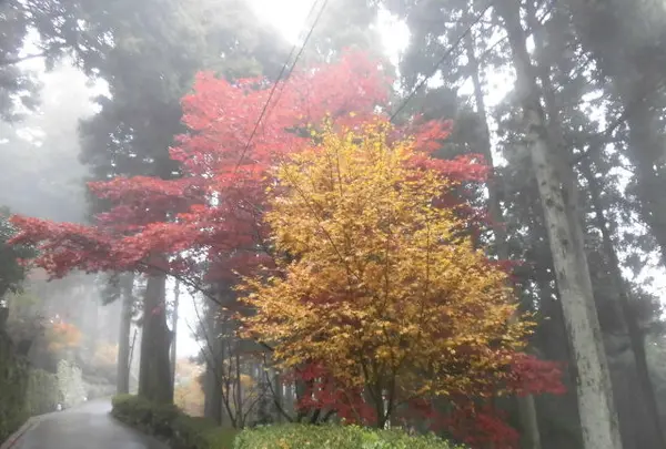 御嶽山 播州清水寺の写真・動画_image_102208