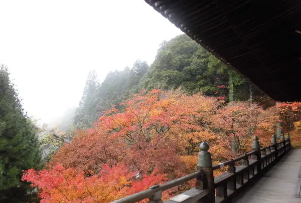 御嶽山 播州清水寺の写真・動画_image_102216