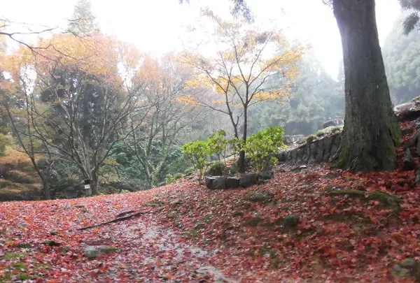 御嶽山 播州清水寺の写真・動画_image_102218