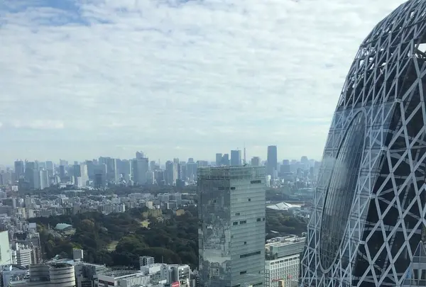 SOMPO美術館（旧：東郷青児記念 損保ジャパン日本興亜美術館）の写真・動画_image_102264