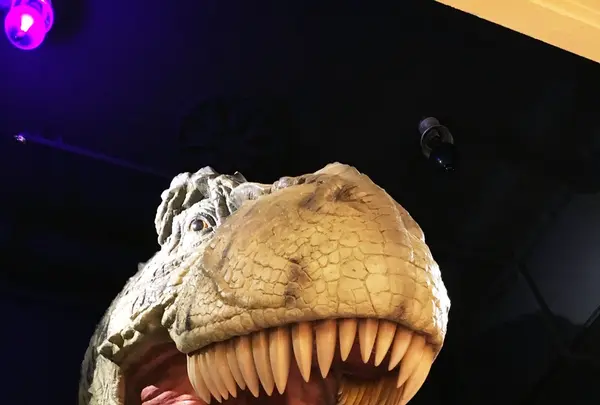 海洋堂フィギュアミュージアム黒壁の写真・動画_image_102333