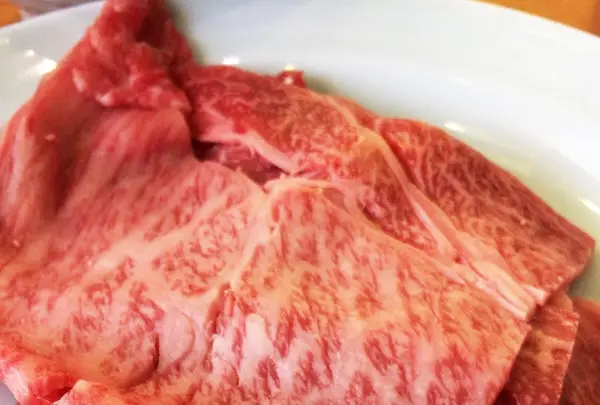 せんなり亭近江肉橙の写真・動画_image_102347