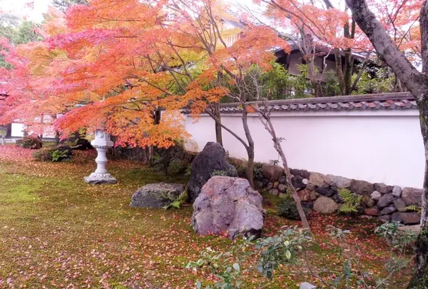 栗棘庵の写真・動画_image_102418