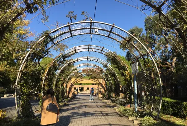 山下公園の写真・動画_image_102725